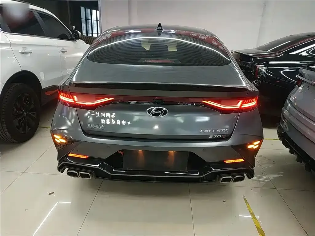 Hyundai Fista — фото 2