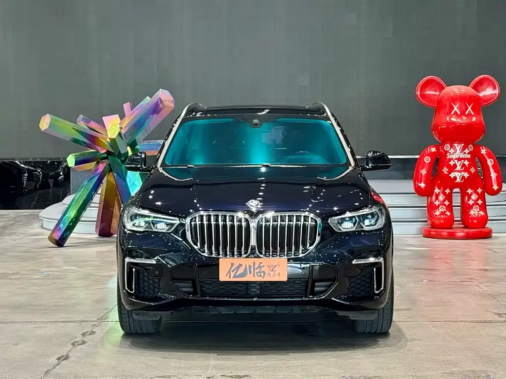 BMW X5 2023 из CN, фото 5