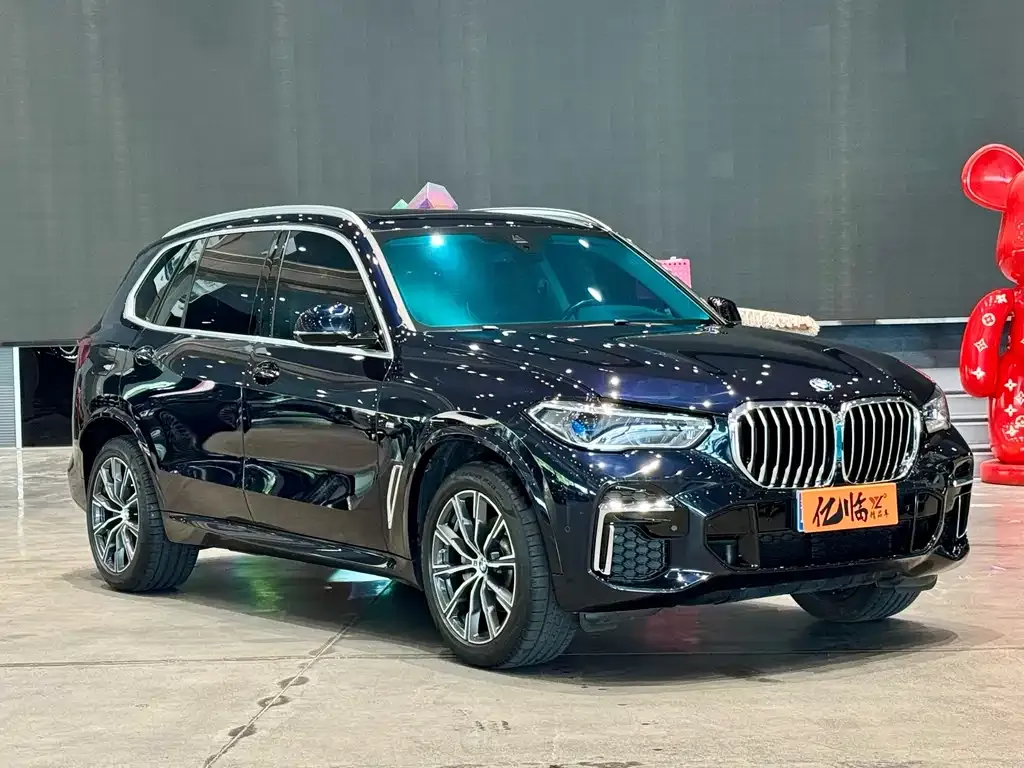 BMW X5 2023 из CN, фото 8