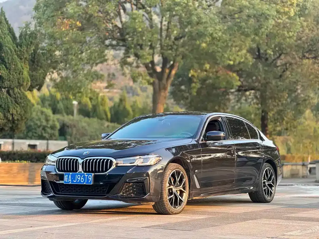 BMW 5 Series 2023 из CN, фото 1
