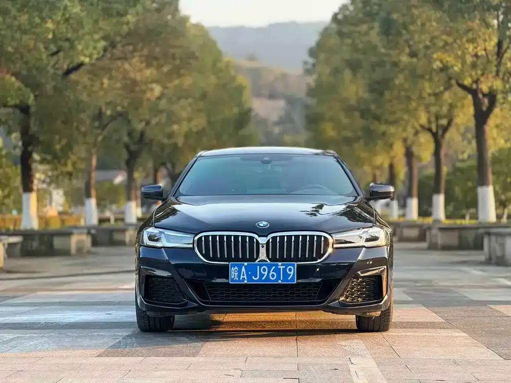 BMW 5 Series 2023 из CN, фото 9