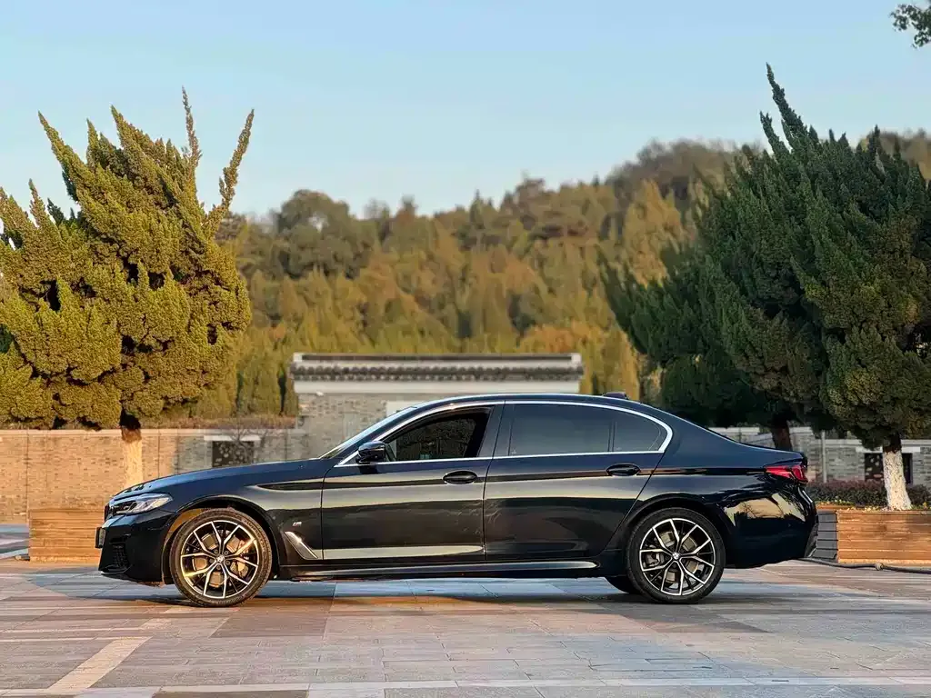 BMW 5 Series 2023 из CN, фото 8