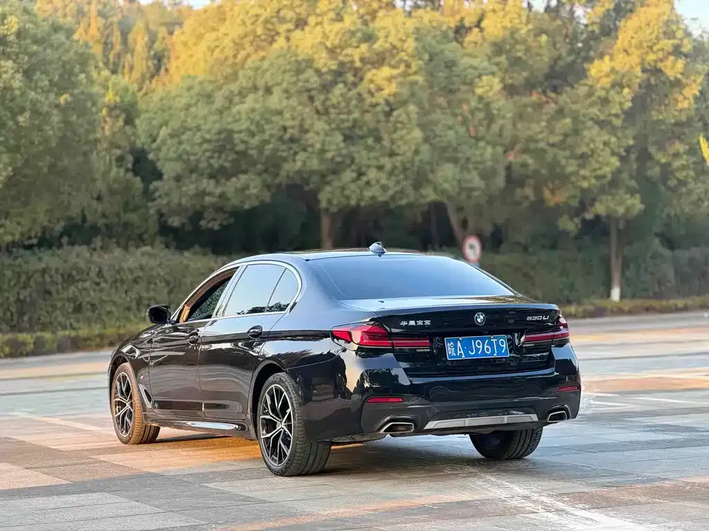 BMW 5 Series 2023 из CN, фото 10