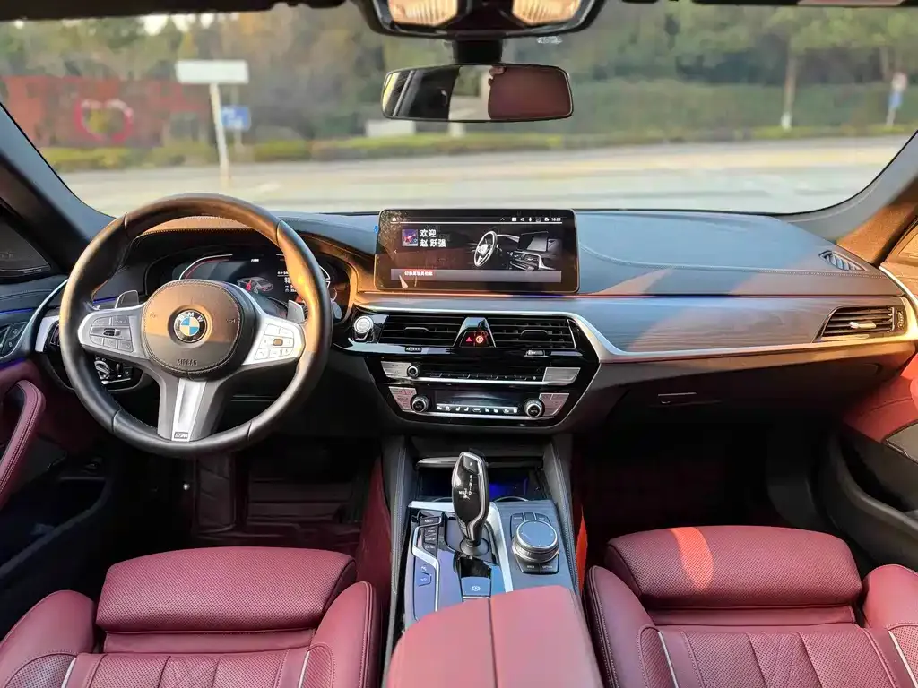 BMW 5 Series 2023 из CN, фото 6
