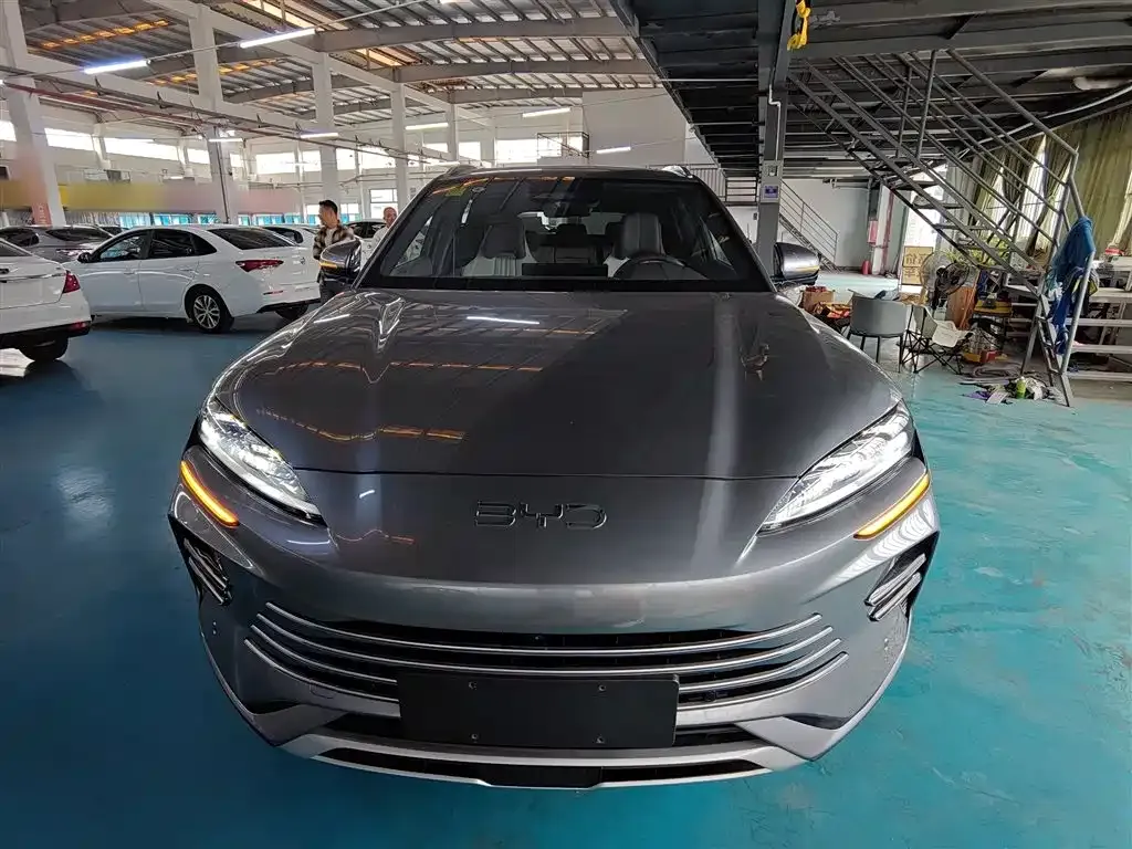 BYD PLUS New Energy — фото 8