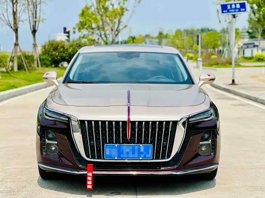 Hongqi H5 2022 из CN, фото 5