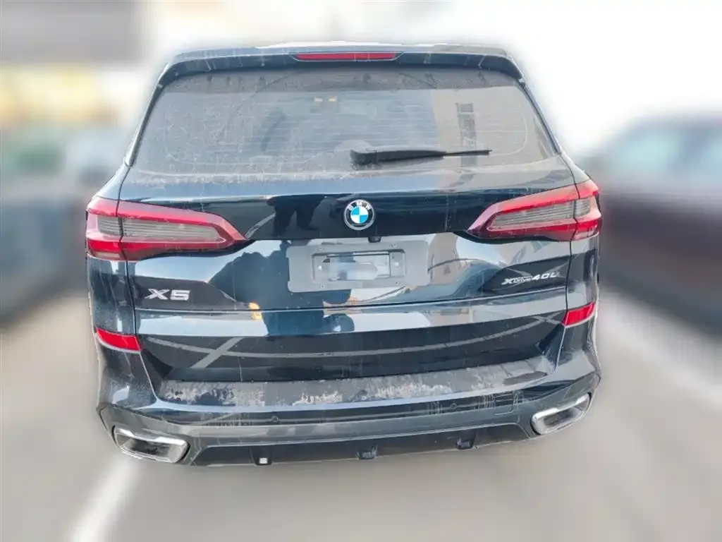 BMW X5 2023 из CN, фото 2