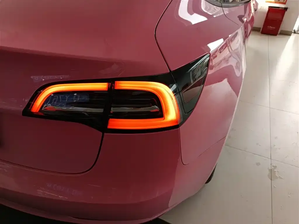 Tesla Model 3 2022 из CN, фото 5