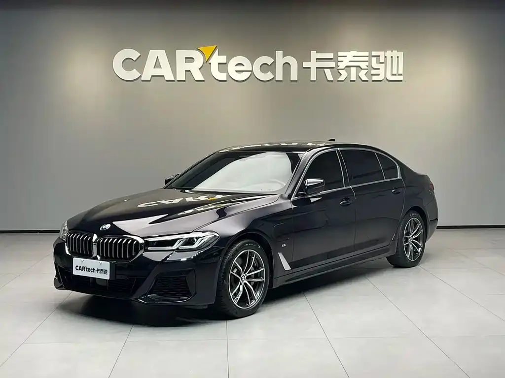 BMW 5 Series New Energy 2021 из CN, фото 1