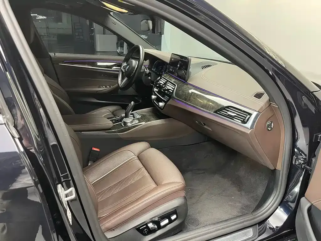 BMW 5 Series New Energy 2021 из CN, фото 10