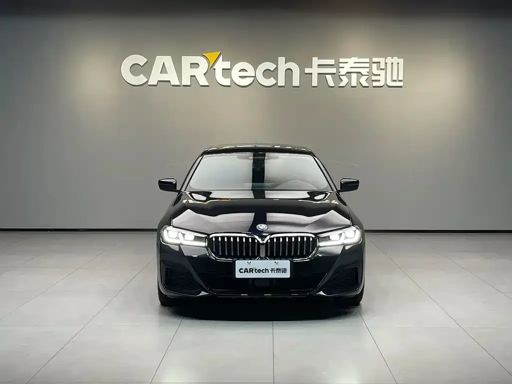 BMW 5 Series New Energy 2021 из CN, фото 2