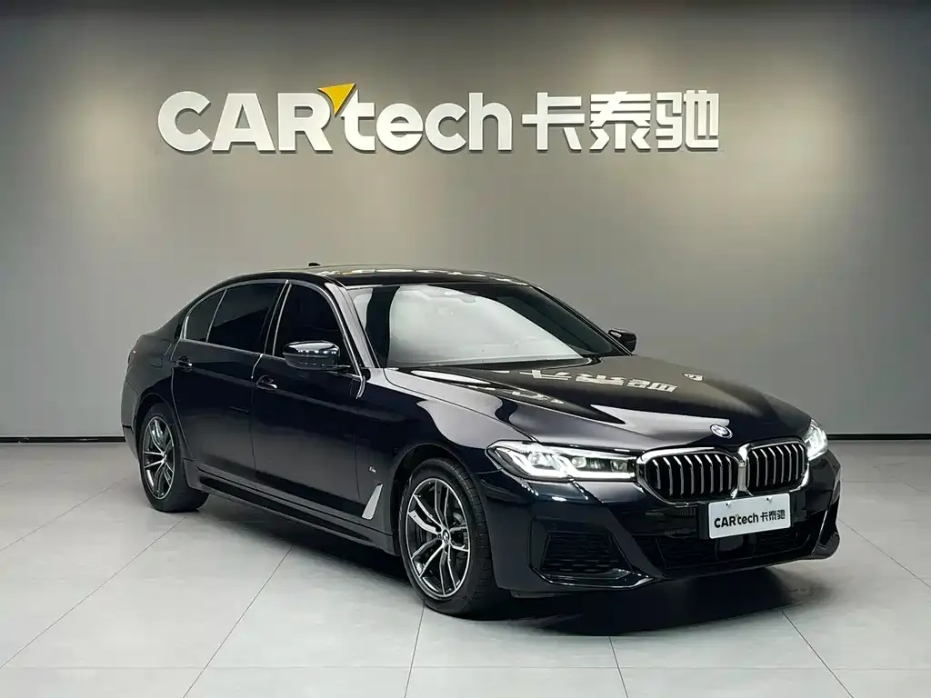 BMW 5 Series New Energy 2021 из CN, фото 7