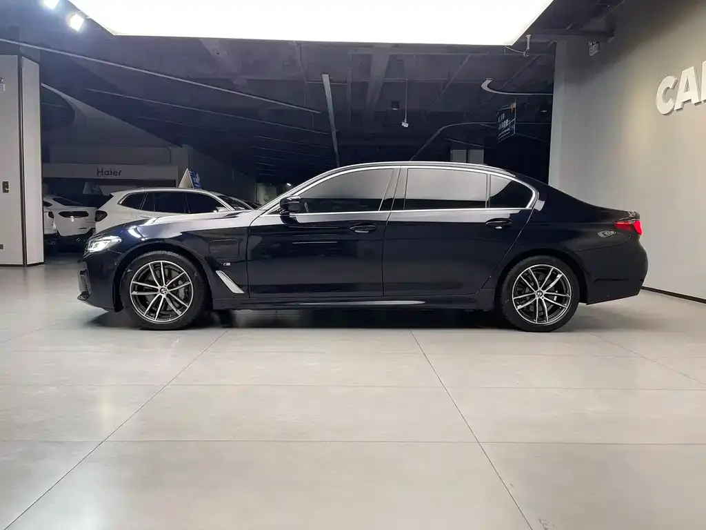 BMW 5 Series New Energy 2021 из CN, фото 5
