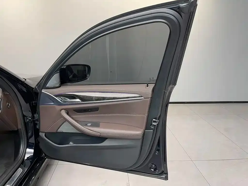 BMW 5 Series New Energy 2021 из CN, фото 8