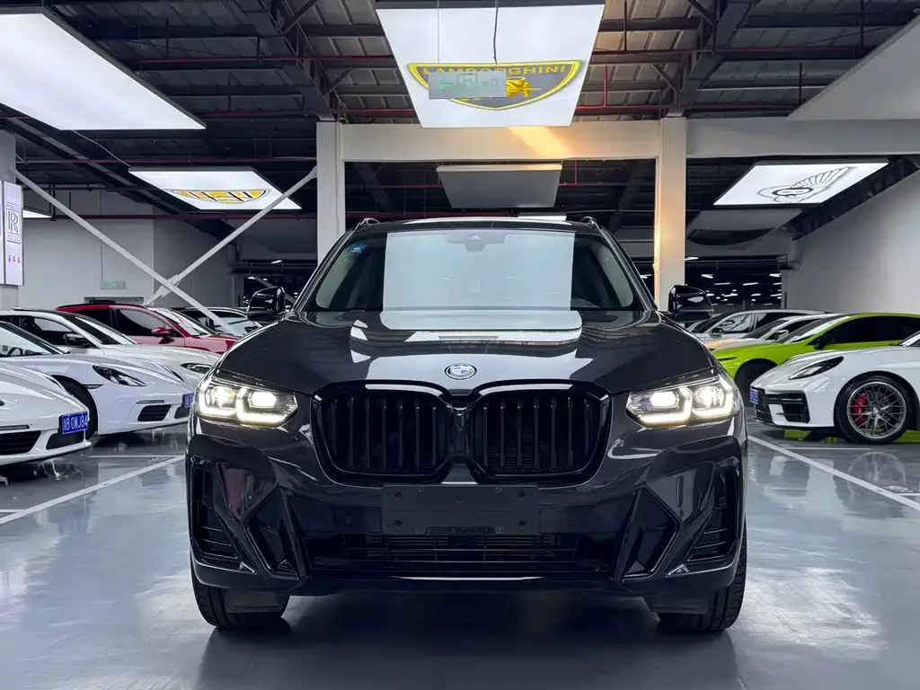 BMW X3 2023 из CN, фото 10