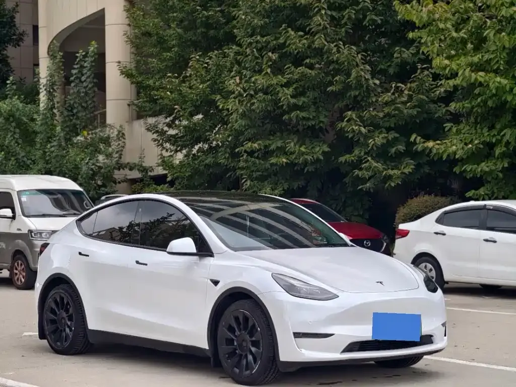 Tesla Model Y — фото 9