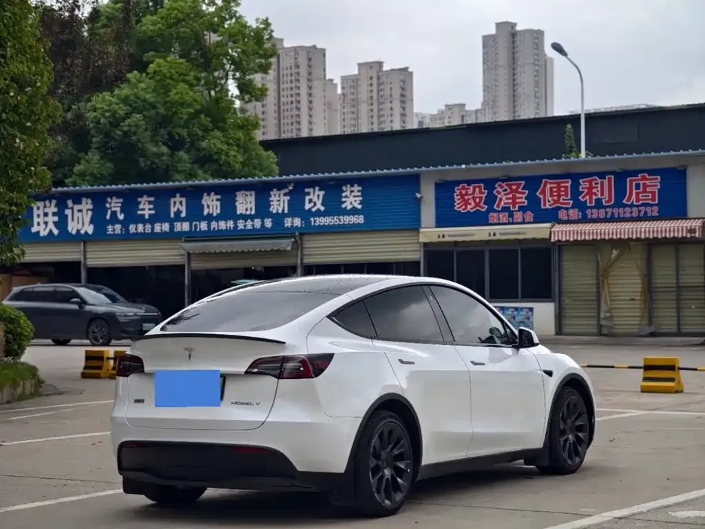 Tesla Model Y — фото 8