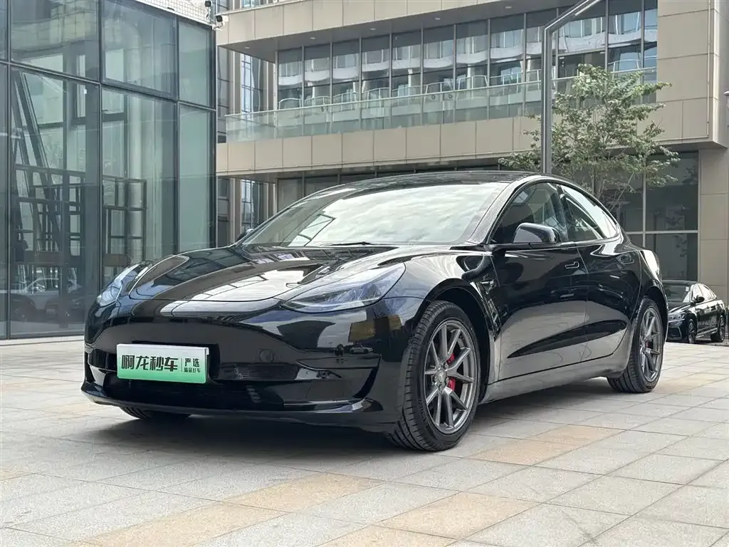 Tesla Model 3 2021 из CN, фото 1
