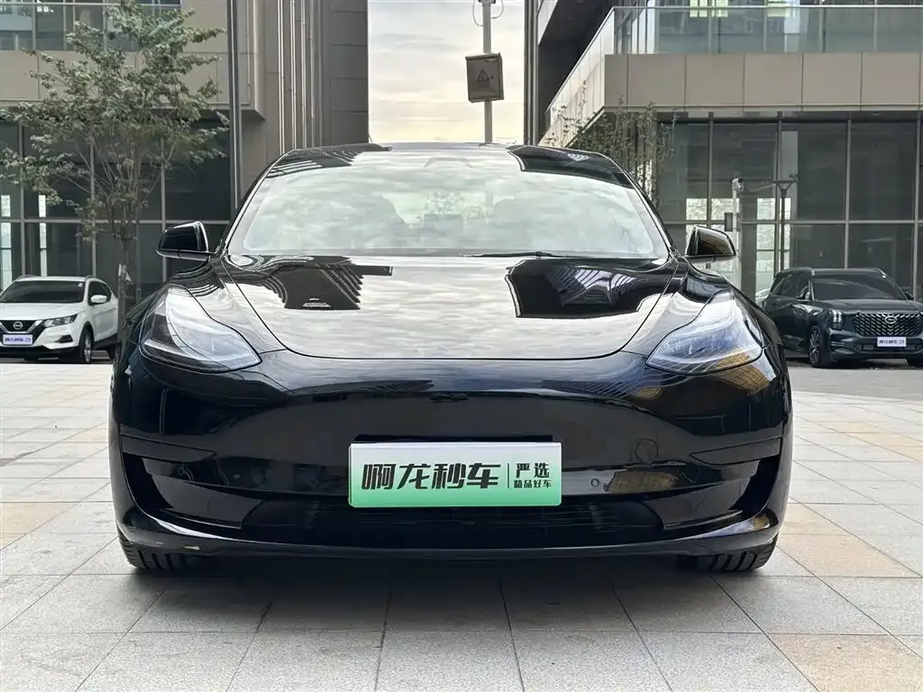 Tesla Model 3 2021 из CN, фото 2