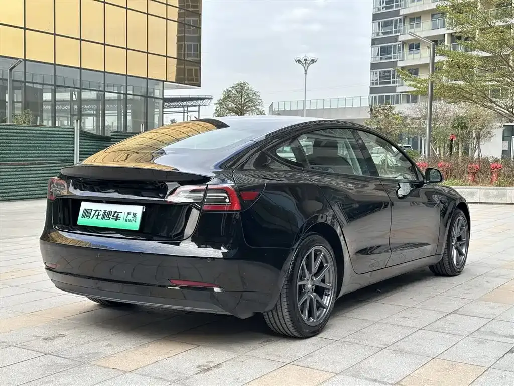 Tesla Model 3 2021 из CN, фото 4