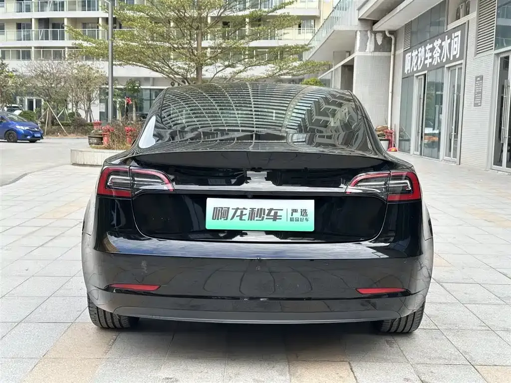 Tesla Model 3 2021 из CN, фото 5