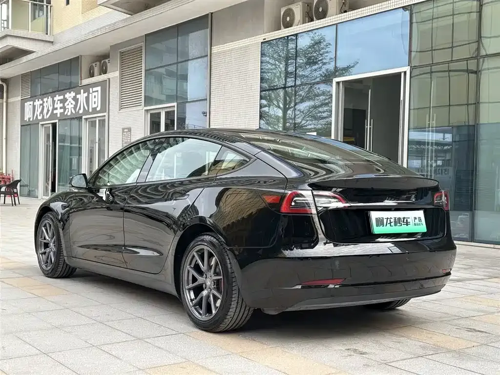 Tesla Model 3 2021 из CN, фото 6