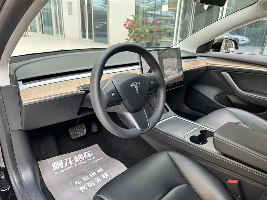 Tesla Model 3 2021 из CN, фото 8