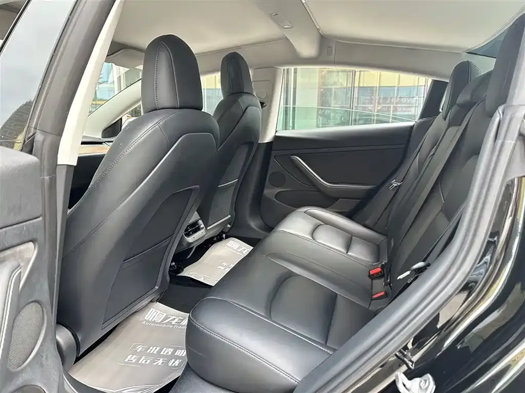 Tesla Model 3 2021 из CN, фото 9