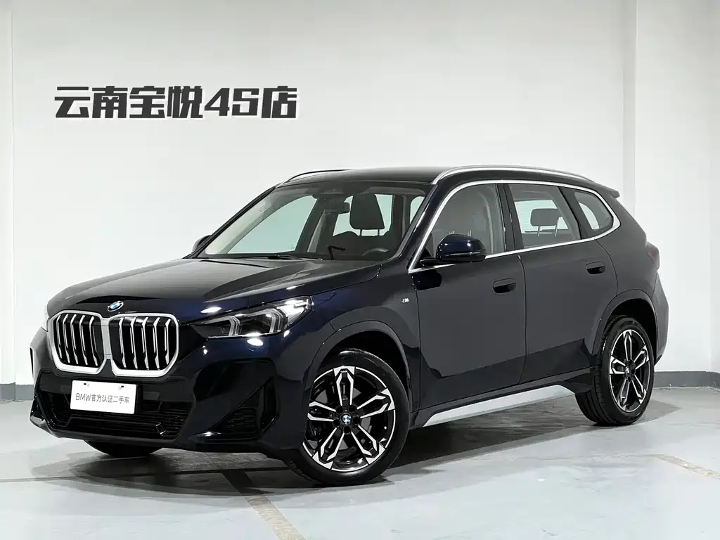 BMW X1 — фото 1