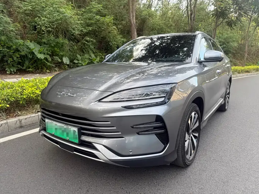 BYD PLUS New Energy 2024 из CN, фото 1