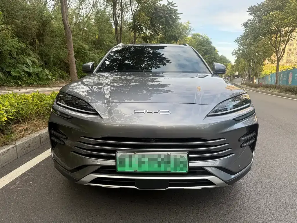 BYD PLUS New Energy 2024 из CN, фото 2