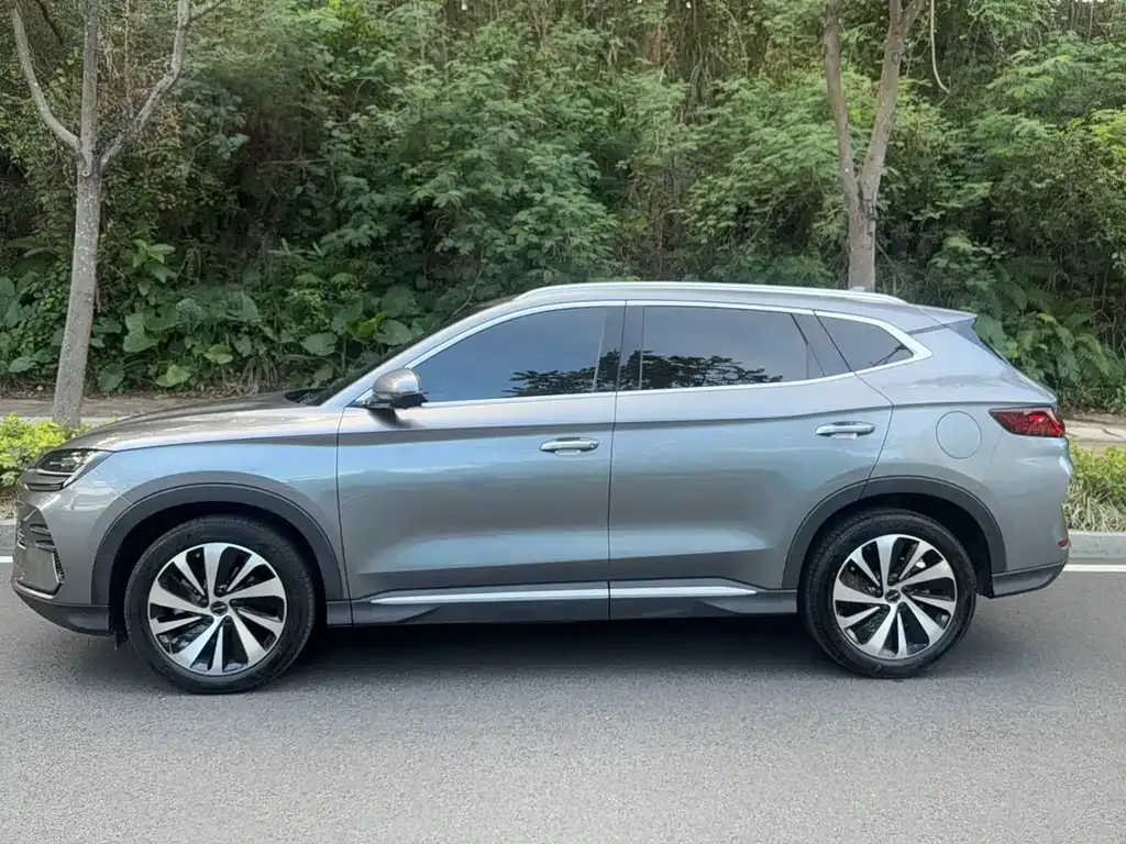 BYD PLUS New Energy 2024 из CN, фото 3