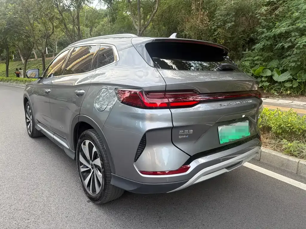 BYD PLUS New Energy 2024 из CN, фото 4