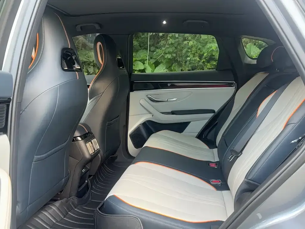 BYD PLUS New Energy 2024 из CN, фото 8