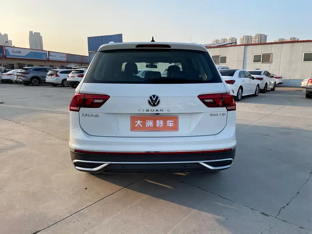 Volkswagen Tiguan L 2024 из CN, фото 6