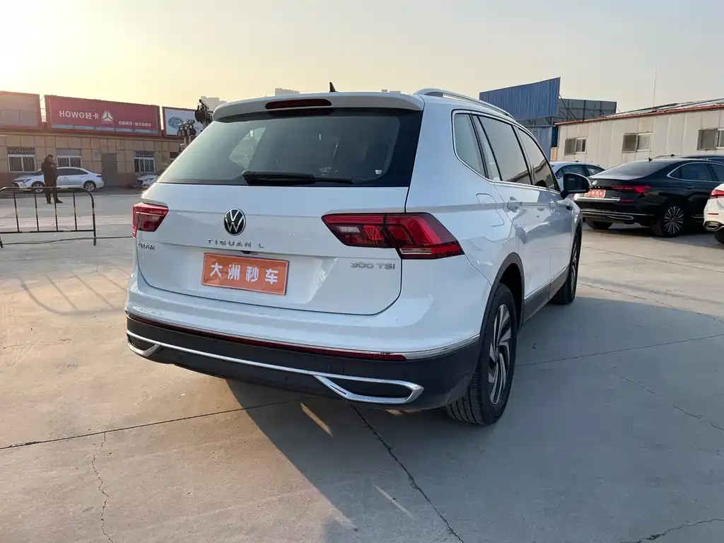 Volkswagen Tiguan L 2024 из CN, фото 4