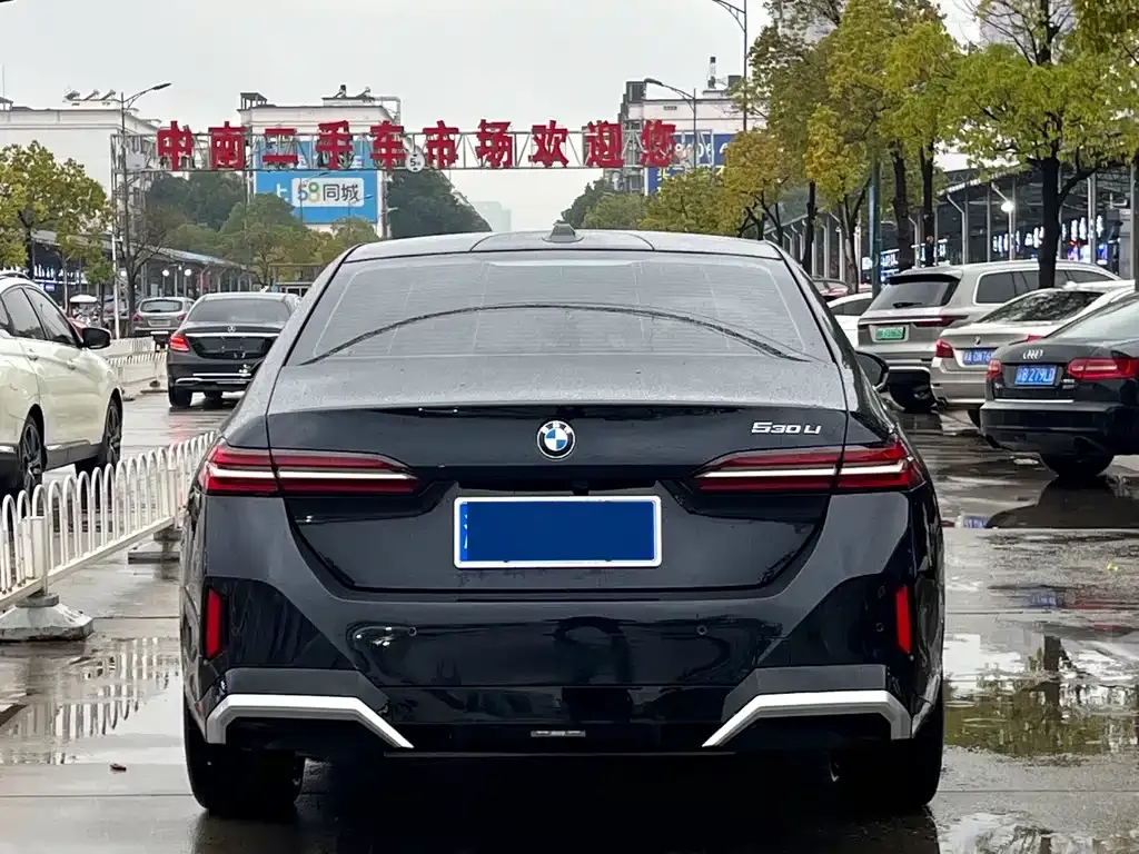 BMW 5 Series 2024 из CN, фото 3