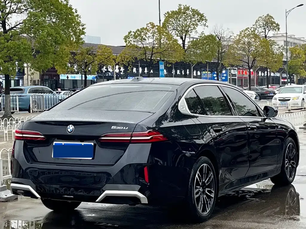 BMW 5 Series 2024 из CN, фото 9