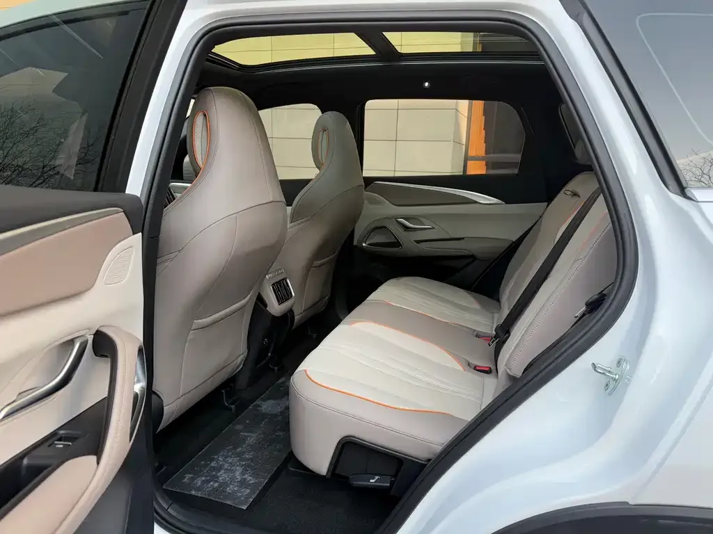 BYD Pro New Energy 2024 из CN, фото 6
