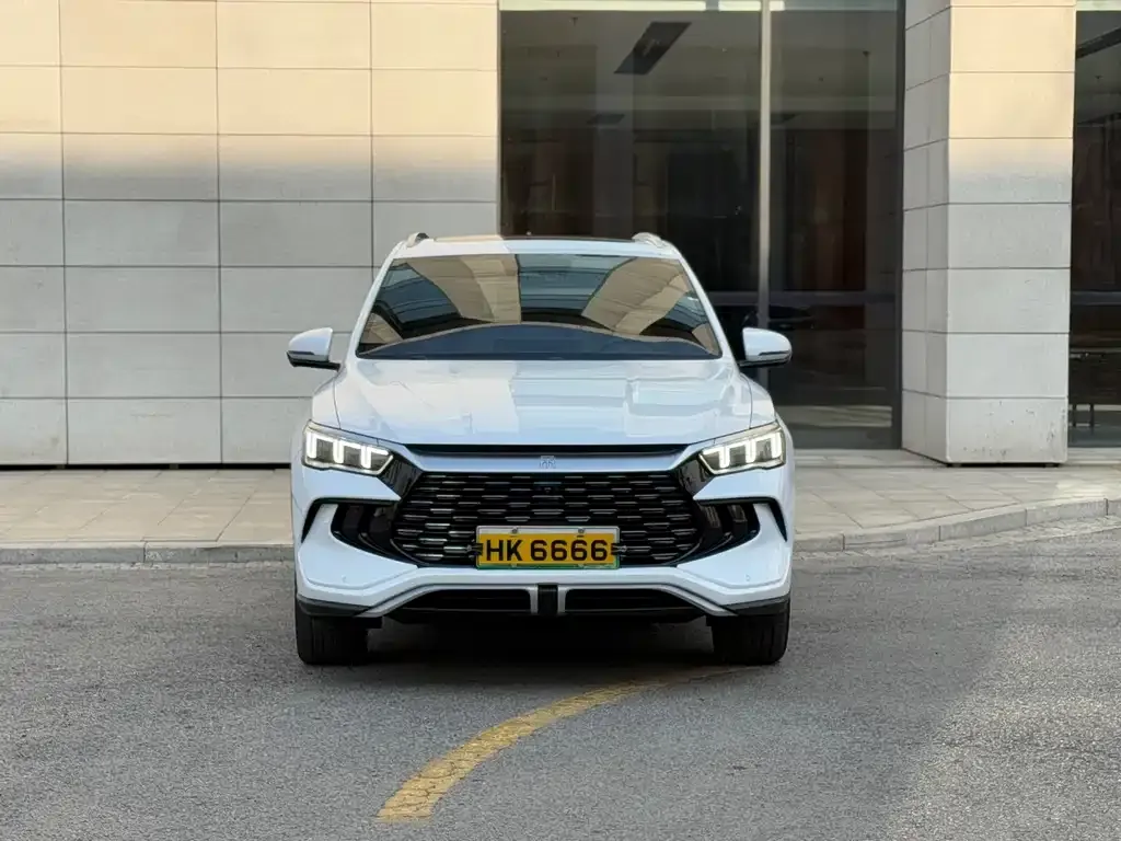 BYD Pro New Energy 2024 из CN, фото 3