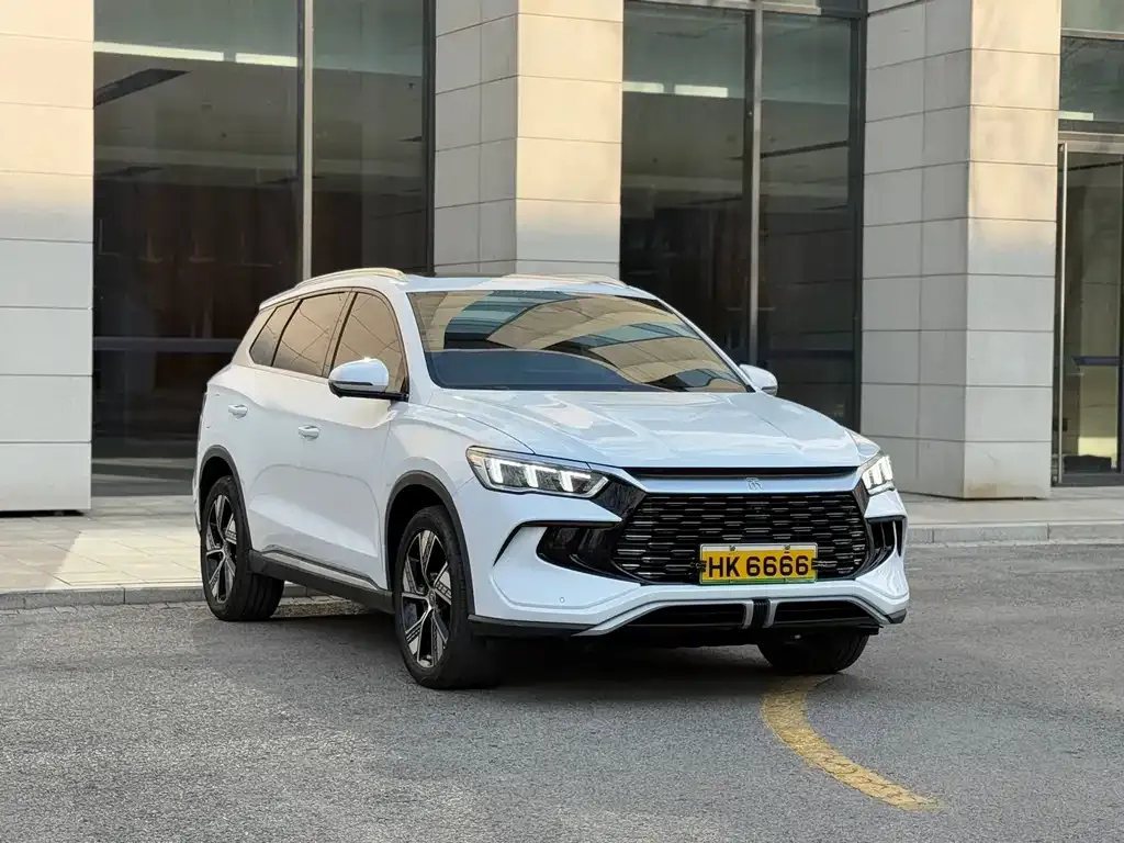 BYD Pro New Energy 2024 из CN, фото 7