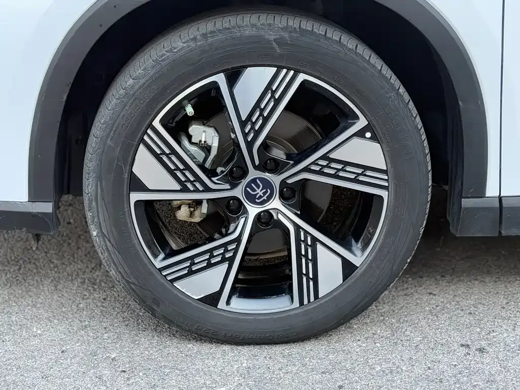 BYD Pro New Energy 2024 из CN, фото 10