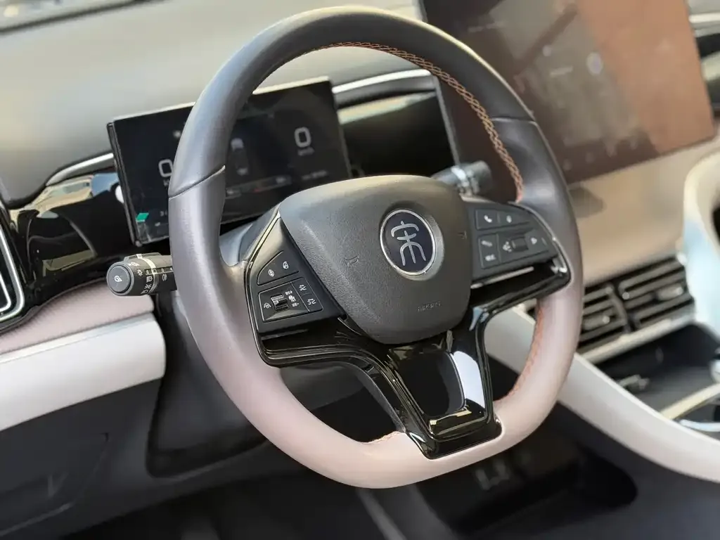 BYD Pro New Energy 2024 из CN, фото 8
