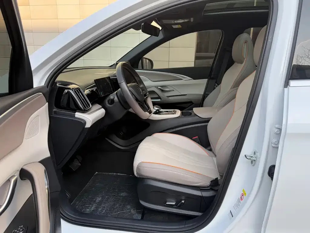 BYD Pro New Energy 2024 из CN, фото 4