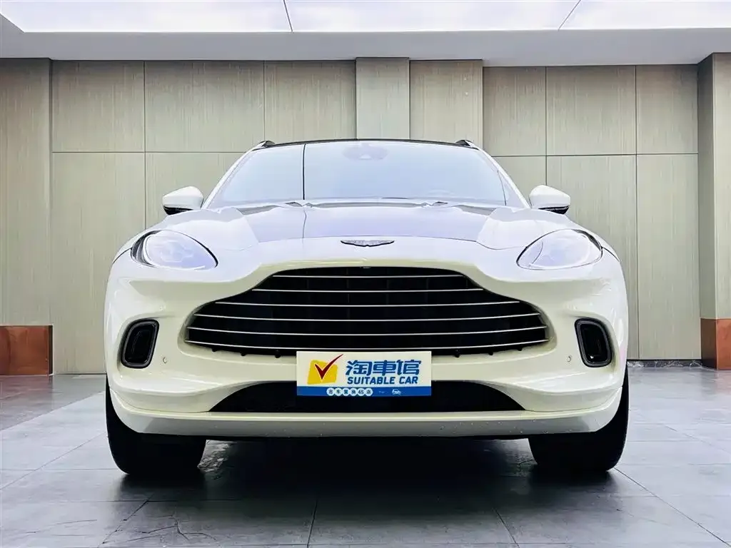 Aston Martin DBX 2021 из CN, фото 2