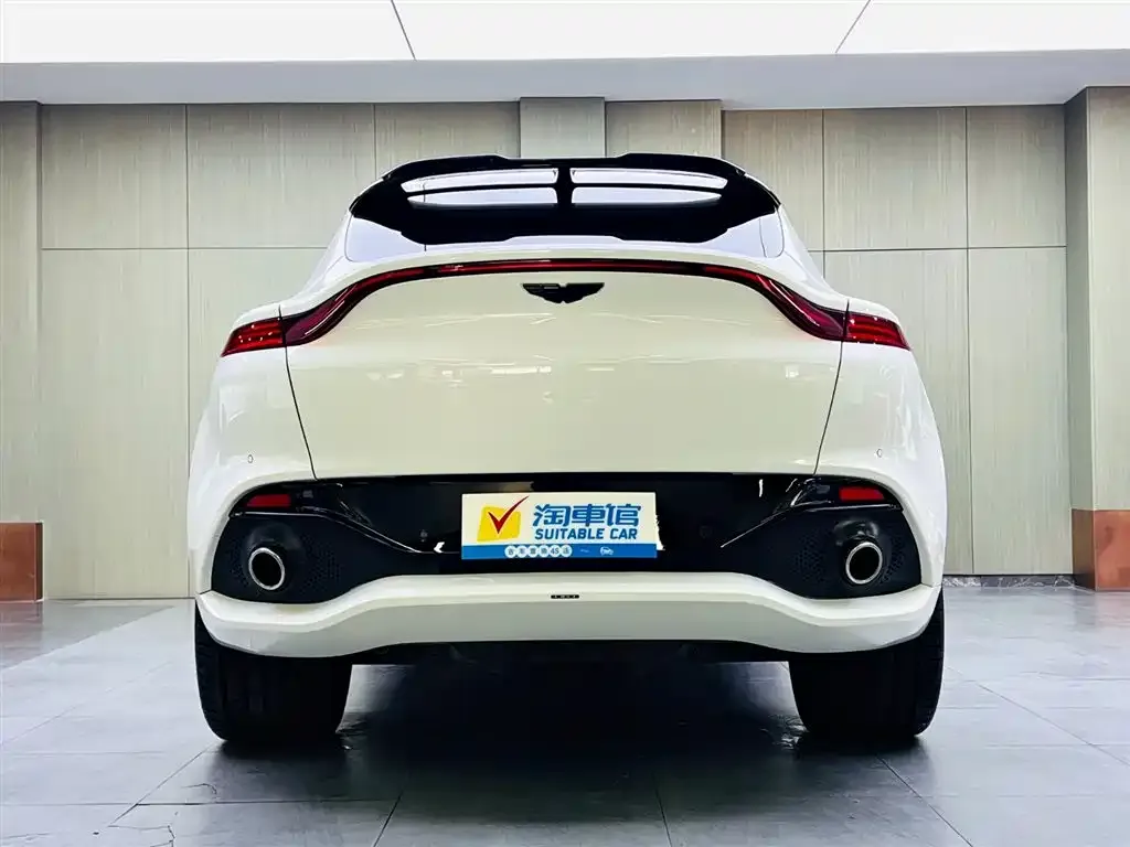 Aston Martin DBX 2021 из CN, фото 3