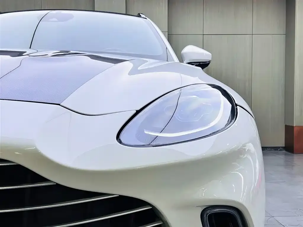 Aston Martin DBX 2021 из CN, фото 4