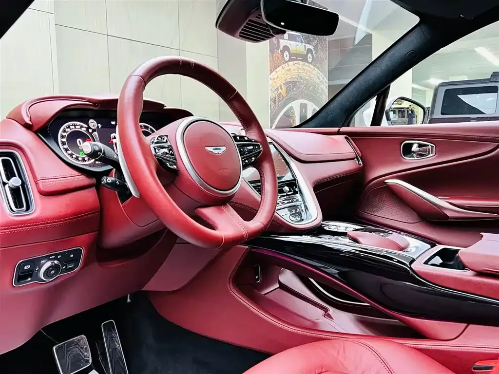 Aston Martin DBX 2021 из CN, фото 7