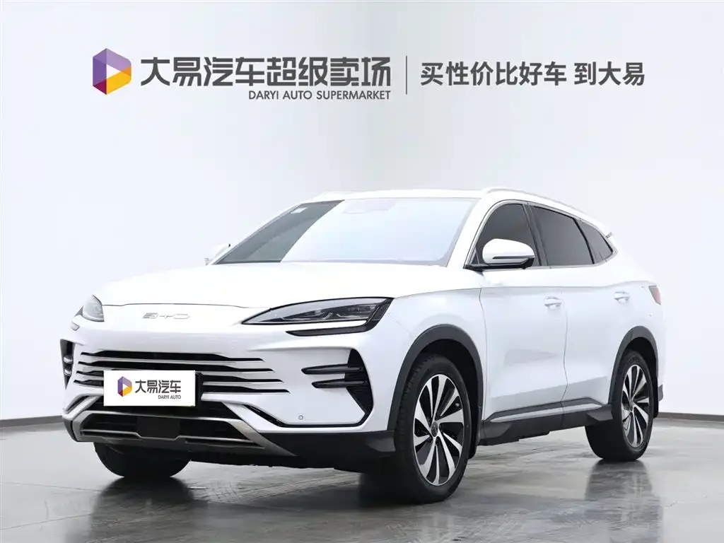 BYD PLUS New Energy 2024 из CN, фото 1