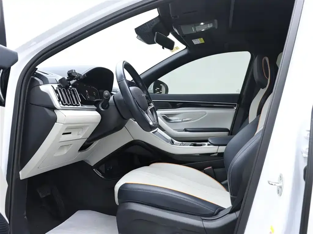 BYD PLUS New Energy 2024 из CN, фото 7